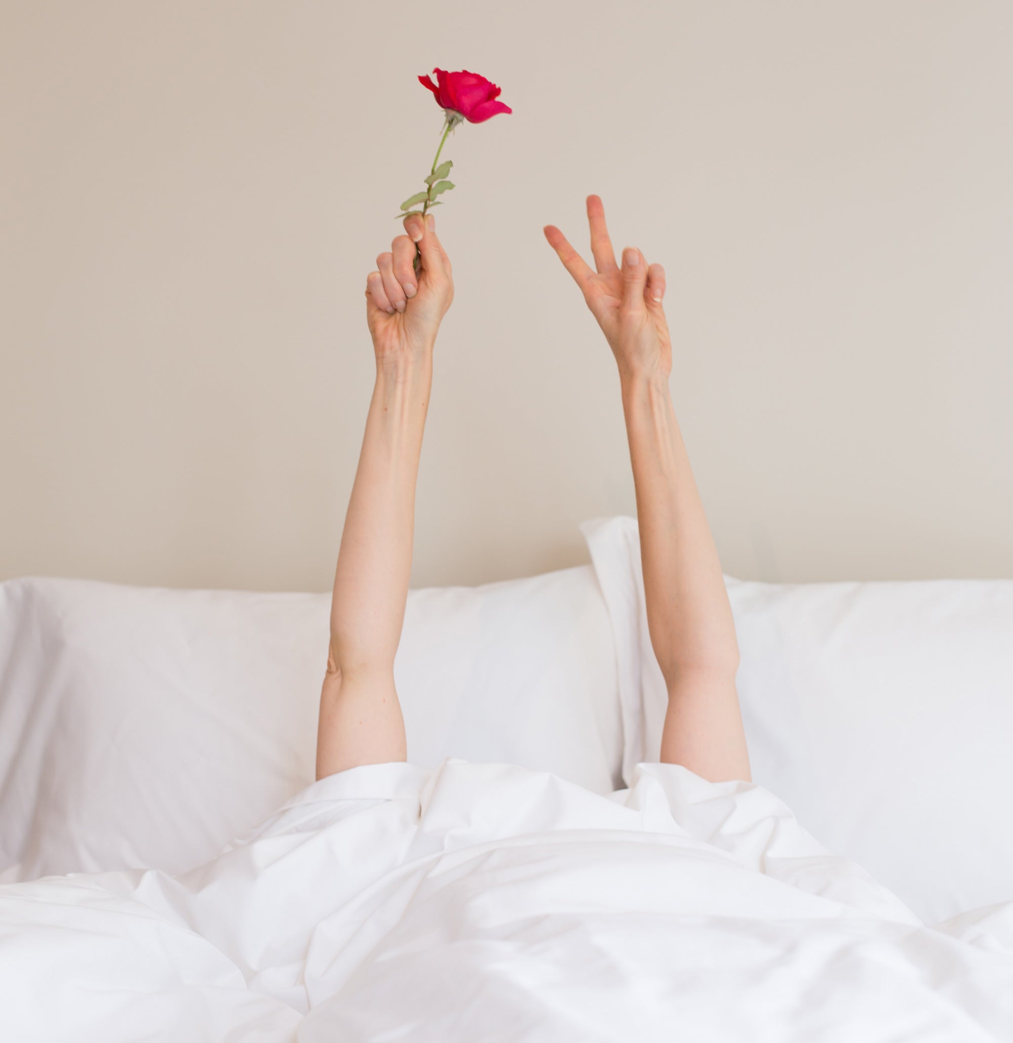 Girl In Bed With Their Arms in The Air Holding a Rose | scooms