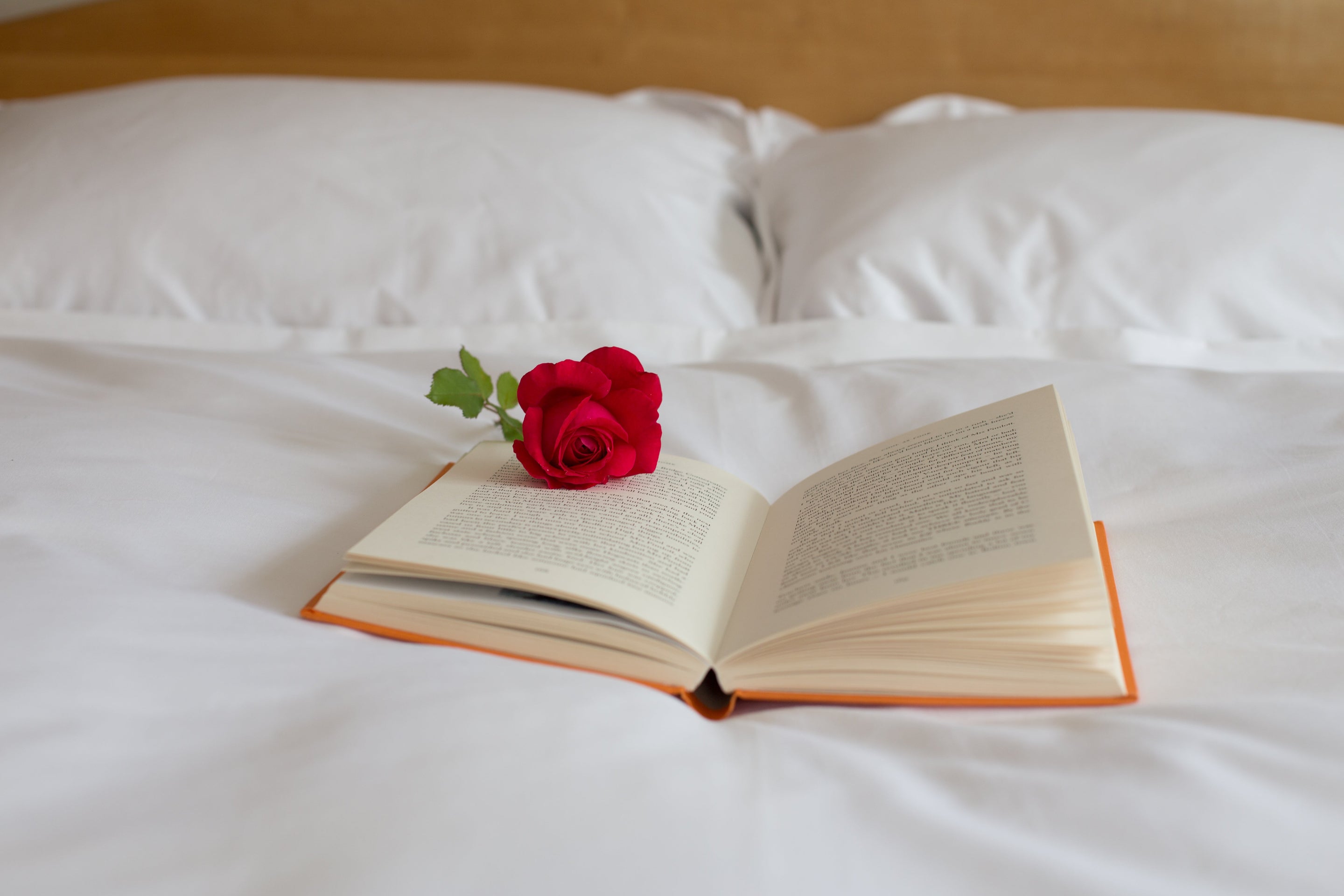 Open Book On A Bed | Scooms