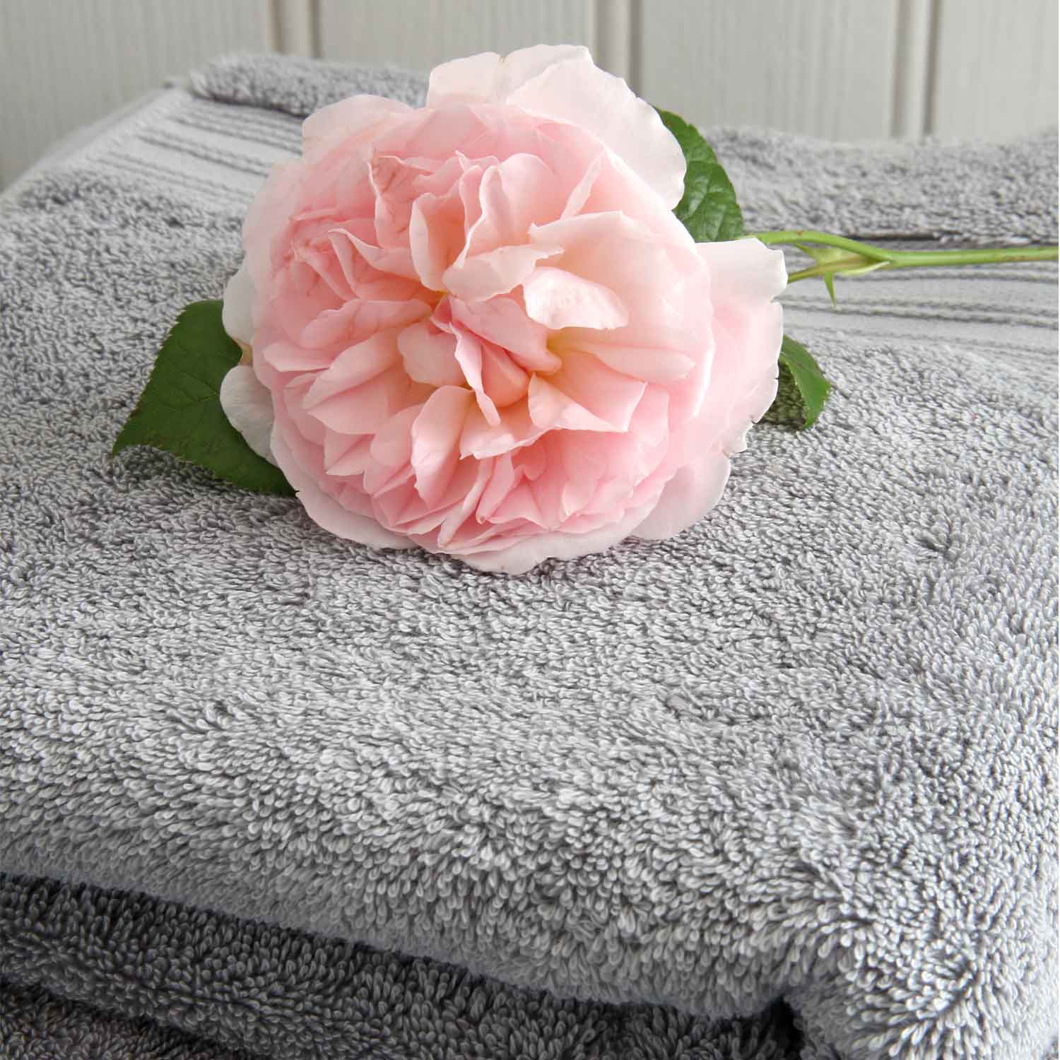 Grey Egyptian cotton towel folded with pink rose