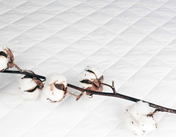 Cotton mattress protector with cotton twig | Scooms