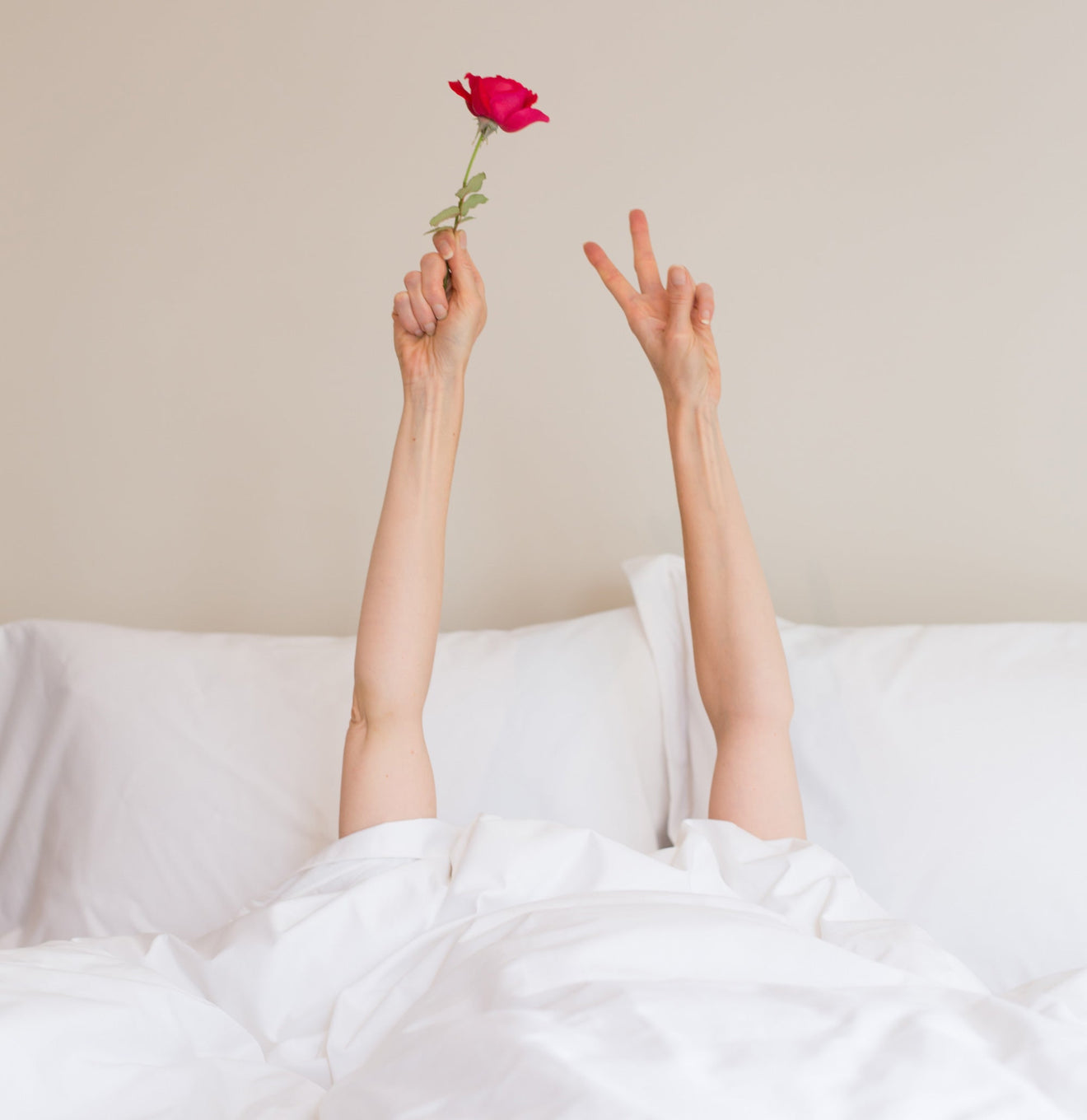 Girl In Bed With Their Arms in The Air Holding a Rose | Scooms