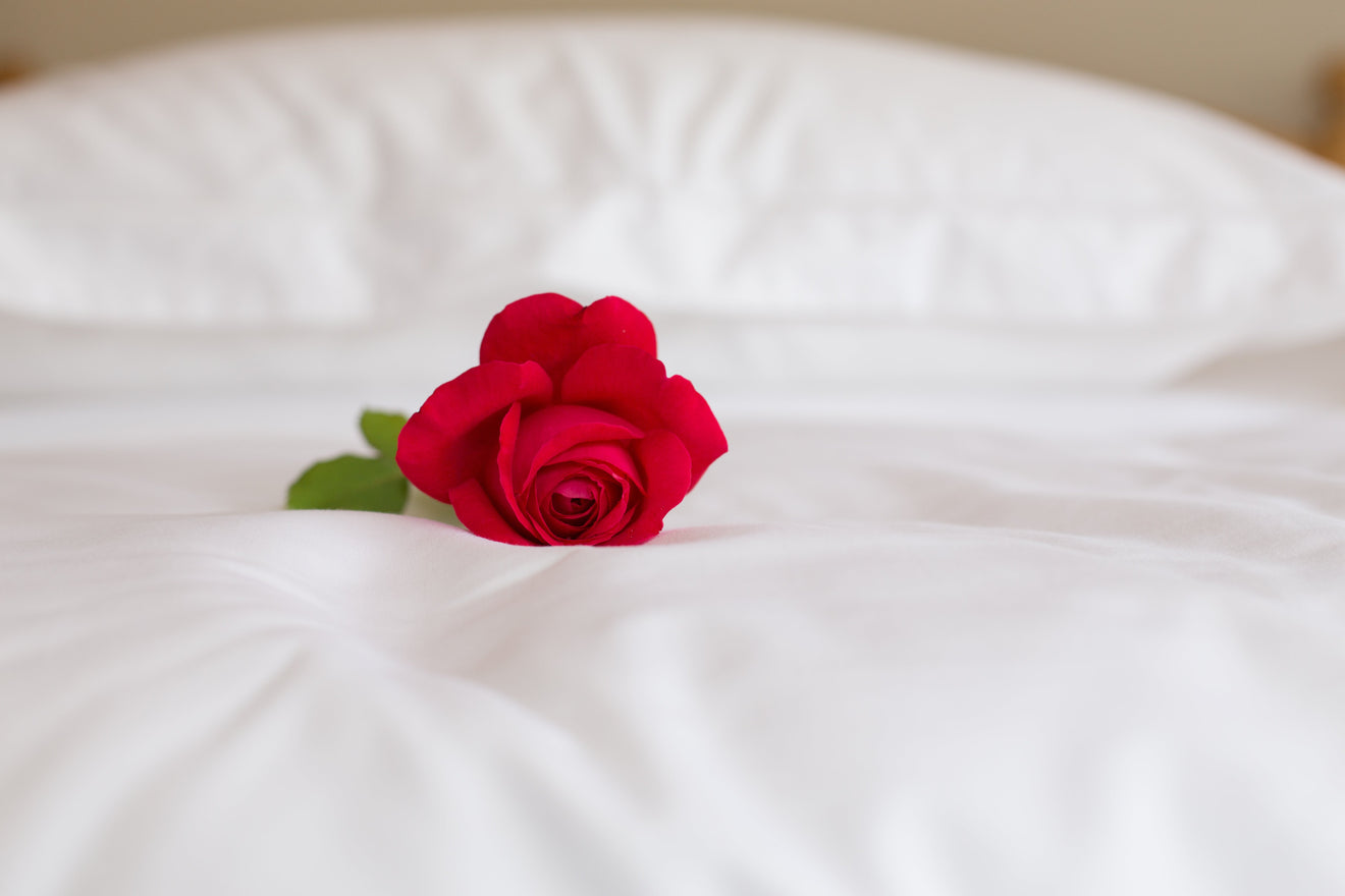 Red Rose on White Duvet Cover | scooms