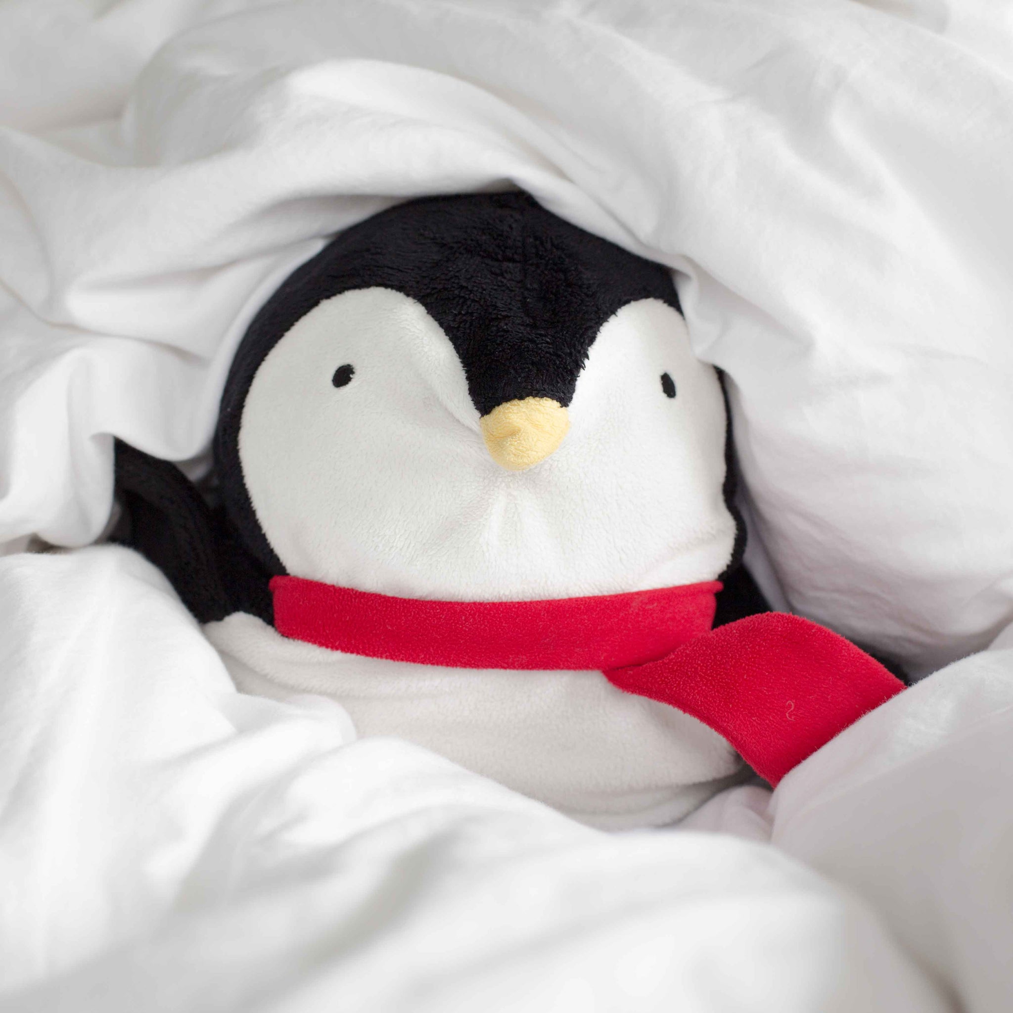 files/Toy-penguin-in-bed.jpg