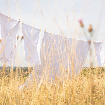 White Egyptian cotton sheets on a washing line in a field in the summer. Scooms
