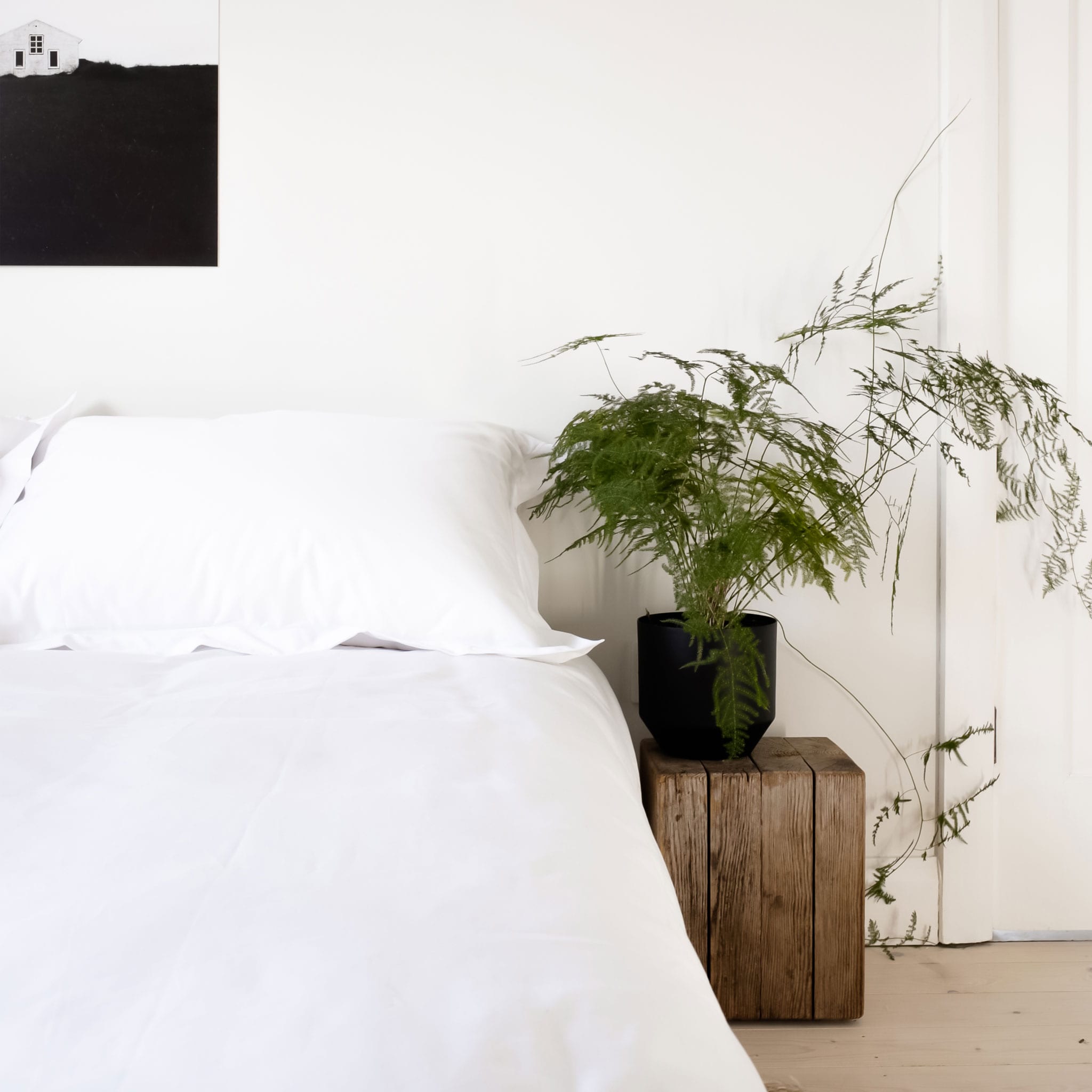 White Egyptian cotton sheets on a bed in a minimalist bedroom. Scooms