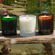 Three Scooms natural scented candles in refillable glass jars on a rustic wooden stool over shallow water, with lily pads and greenery in the background. The left candle glass is green, the centre candle glass is frosted white and the right candle glass is amber brown. | Scooms