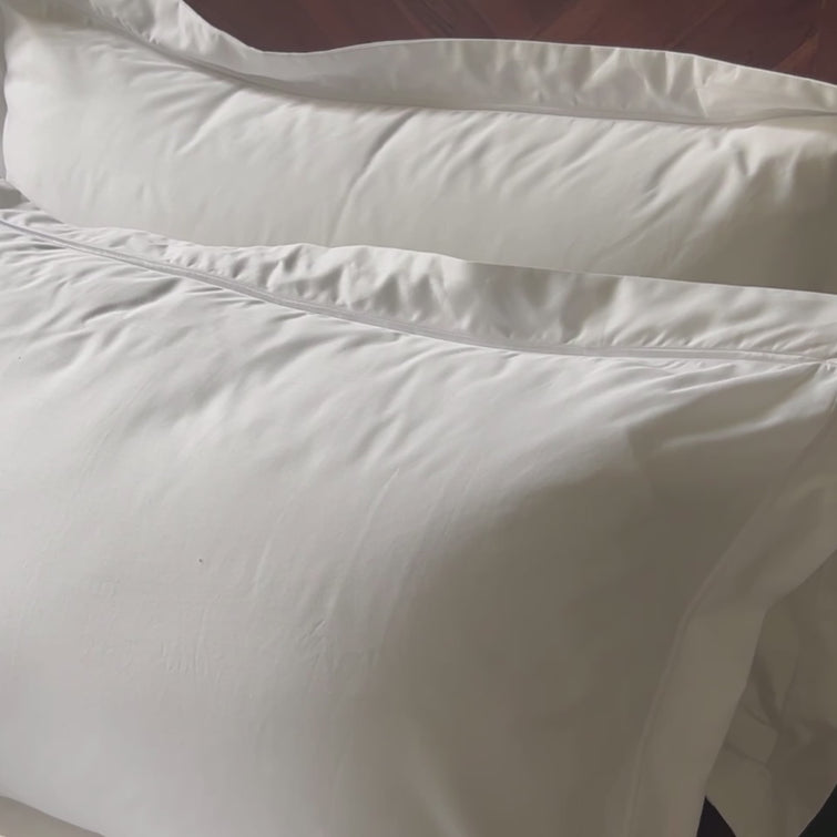 Luxury bedroom setting with white Egyptian cotton pillowcases. Scooms